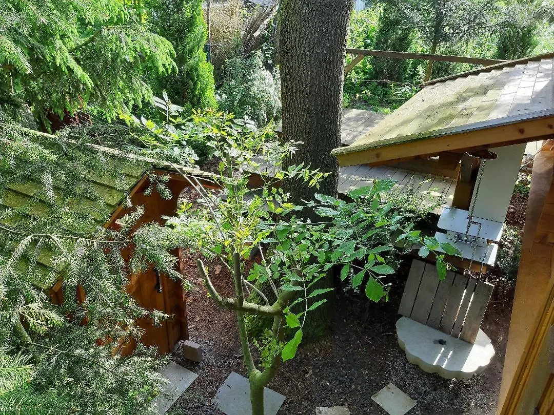 Baumhaus Wolfshoehle Fischach